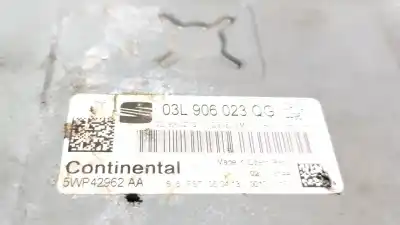 Автозапчастина б/у ебу контролер двигуна для seat toledo iv (kg3) 1.6 tdi посилання на oem iam 03l906023qg 03l 906 023 qg 5wp42962aa