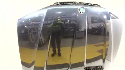 Pezzo di ricambio per auto di seconda mano cofano per bmw x5 (e53) 3.0 d riferimenti oem iam 41617121102  