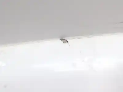 Peça sobressalente para automóvel em segunda mão capot por citroen ds4 (nx_) 1.6 hdi 115 referências oem iam 7901s1  7901 s1