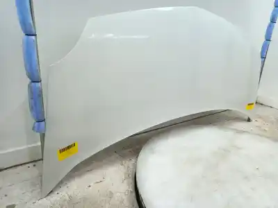 Автозапчасти б/у капот за renault kangoo express (fw0/1_) 1.5 dci 70 (fw0a, kw0v) ссылки oem iam 651003220r  7751478148