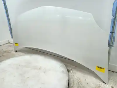 Автозапчасти б/у капот за renault kangoo express (fw0/1_) 1.5 dci 70 (fw0a, kw0v) ссылки oem iam 651003220r  7751478148