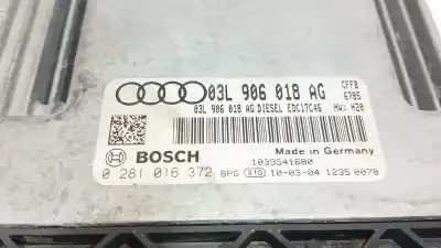 Автозапчасти б/у блок управления двигателем за audi a3 (8p1) 2.0 tdi 16v ссылки oem iam 03l906018ag 0281016372 03l906018ag