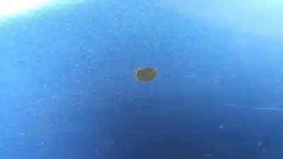 Second-hand car spare part front right fin for bmw 1 (e87) 116 i oem iam references 41357133228  41357133228