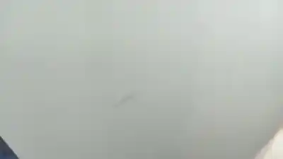 Автозапчастина б/у задній бампер для peugeot 208 ii (ub_, up_, uw_, uj_) 1.5 bluehdi 100 посилання на oem iam 982320421t  982320421t