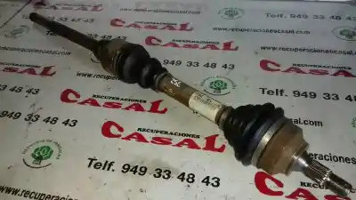 İkinci el araba yedek parçası ÖN SAG SANZIMAN için CITROEN XSARA BERLINA  OEM IAM referansları 9624445180  