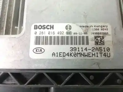 Tweedehands auto-onderdeel ecu motorcontroller voor kia cee´d concept oem iam-referenties 391142a510  0281016492