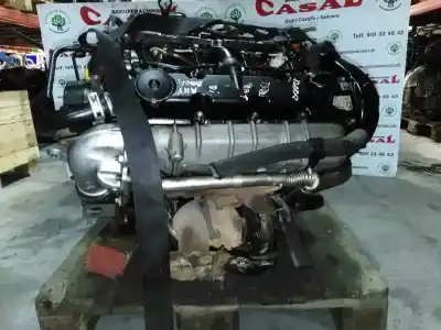 Gebrauchtes Autoersatzteil kompletter motor zum citroen xsara (n1) 2.0 hdi 90 oem-iam-referenzen rhy  