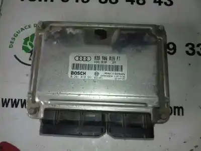 Pezzo di ricambio per auto di seconda mano CENTRALINA MOTORE per AUDI A3 (8L)  Riferimenti OEM IAM 0281010981  038906019FT