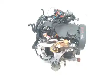 Peça sobressalente para automóvel em segunda mão MOTOR EXPLODIDO por AUDI A4 BERLINA (8E)  Referências OEM IAM BLB  03G100033T
