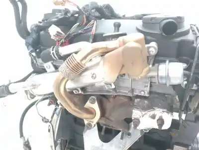 Peça sobressalente para automóvel em segunda mão motor explodido por audi a4 berlina (8e) 2.0 tdi 16v (103kw) referências oem iam blb  03g100033t