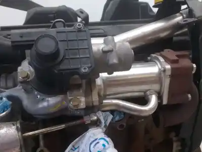 Pezzo di ricambio per auto di seconda mano motore completo per renault modus / grand modus (f/jp0_) 1.5 dci (fp0f, jp0f) riferimenti oem iam 7701476166 d029071 k9k766