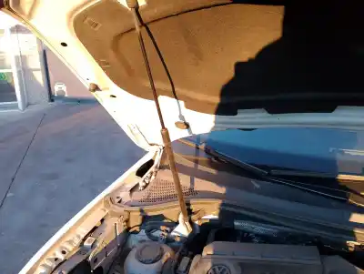 Peça sobressalente para automóvel em segunda mão AMORTECEDOR DO CAPÔ por VOLKSWAGEN TIGUAN (AD1, AX1) 2.0 TDI Referências OEM IAM 5NA823359A  