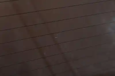 Second-hand car spare part tailgate for seat leon (1m1) signo oem iam references 2840  