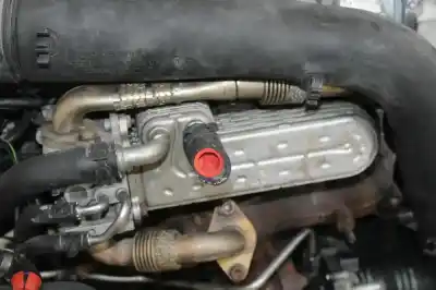 Pezzo di ricambio per auto di seconda mano motore completo per audi a3 (8p1) 1.9 tdi riferimenti oem iam   