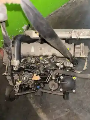 Pezzo di ricambio per auto di seconda mano motore completo per citroen zx 1.9 diesel riferimenti oem iam tipo: d8a  