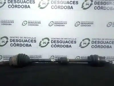 Pezzo di ricambio per auto di seconda mano trasmissione anteriore destra per hyundai elantra iii (xd) 2.0 crdi riferimenti oem iam 