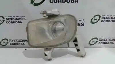 Pezzo di ricambio per auto di seconda mano FENDINEBBIA SINISTRA per FIAT GRANDE PUNTO (199_)  Riferimenti OEM IAM   