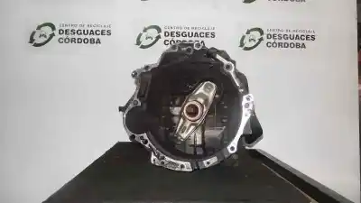 Pezzo di ricambio per auto di seconda mano RIDUTTORE per AUDI A6 BERLINA (C4)  Riferimenti OEM IAM CUS  5.VELOCIDADES