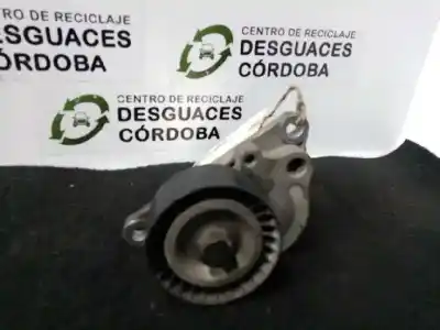 Peça sobressalente para automóvel em segunda mão esticador de correia por renault master kasten 2.3 dci diesel cat referências oem iam t38311