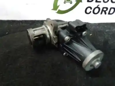 Pezzo di ricambio per auto di seconda mano VALVOLA EGR per PEUGEOT PARTNER TEPEE  Riferimenti OEM IAM 9802194080 - 702209140  