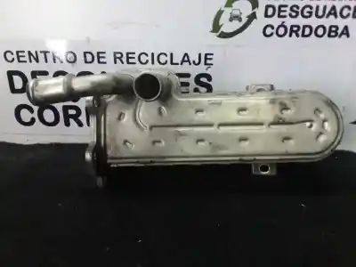 Recambio de automóvil de segunda mano de ENFRIADOR GASES EGR para VOLKSWAGEN PASSAT BERLINA (3C2)  referencias OEM IAM 03G131513J  