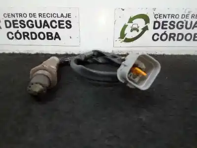 Pezzo di ricambio per auto di seconda mano sonda lambda per kia cee´d (jd) 1.4 cvvt riferimenti oem iam 392102b320 - 9025030028