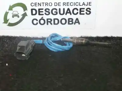 Peça sobressalente para automóvel em segunda mão sonda lambda por ford transit connect 1.6 tdci cat referências oem iam dv6112b591aa