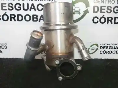 Автозапчасти б/у охладитель рог за volkswagen caddy ocio outdoor 4motion bmt ссылки oem iam 04l131512aj