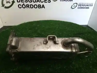 İkinci el araba yedek parçası EGR SOGUTUCU için VOLKSWAGEN TIGUAN (5N2)  OEM IAM referansları 03L131512AS  