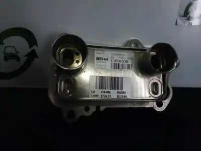 Gebrauchtes Autoersatzteil MOTORÖLKÜHLER zum BMW SERIE 1 BERLINA (E81/E87)  OEM-IAM-Referenzen 7031036904 - L1609006 - 4144466 - L1609  