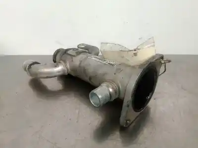 Pezzo di ricambio per auto di seconda mano raffreddatore egr per citroen c5 break 2.0 hdi cat (rhr / dw10bted4) riferimenti oem iam 9645689780 - 875816w - valeo  