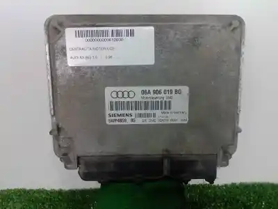 Peça sobressalente para automóvel em segunda mão centralina de motor uce por audi a3 (8l) 1.6 ambiente referências oem iam 5wp485905 - 06a906019bg