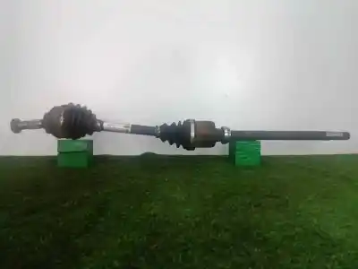 Peça sobressalente para automóvel em segunda mão TRANSMISSÃO DIANTEIRA DIREITA por CITROEN C4 PICASSO  Referências OEM IAM 9657555580 L955MM 