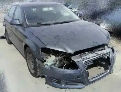 Автозапчасти б/у передняя левая кулачка за audi a3 (8p) 2.0 tdi ambiente ссылки oem iam 