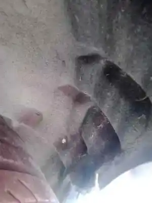 Автозапчастина б/у передня права колесна арка для audi a5 coupe (8t) 2.7 tdi посилання на oem iam   