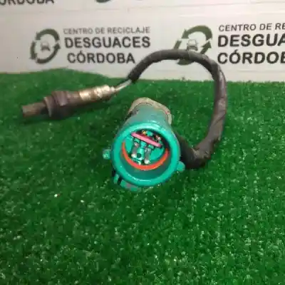 Pezzo di ricambio per auto di seconda mano sonda lambda per ford focus berlina (cap) 1.6 16v cat riferimenti oem iam ntk6m20 4.cables 