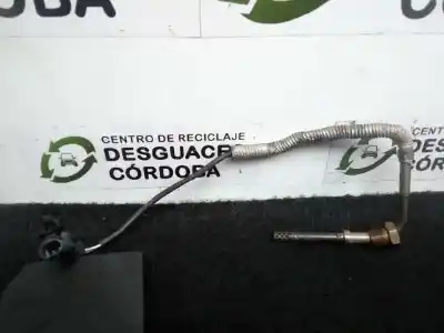 İkinci el araba yedek parçası LAMBDA PROBU için VOLVO S80 BERLINA  OEM IAM referansları 31319842  2.CABLES