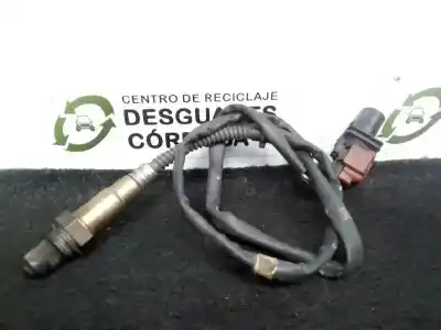 Автозапчастина б/у ЛЯМБДА-ЗОНД для AUDI A6 BERLINA (4F2)  Посилання на OEM IAM 0281004012 - 057906262  5.CABLES