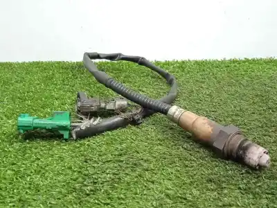 Recambio de automóvil de segunda mano de SONDA LAMBDA para RENAULT LAGUNA II (BG0)  referencias OEM IAM 258006027  4+2.CABLES