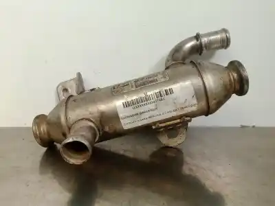 İkinci el araba yedek parçası EGR SOGUTUCU için CITROEN XSARA BERLINA  OEM IAM referansları 9627242880  