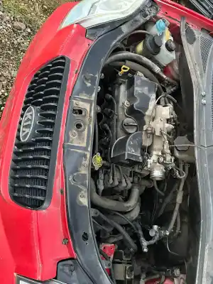 Pièce détachée automobile d'occasion PANNEAU AVANT pour KIA PICANTO I (SA)  Références OEM IAM   