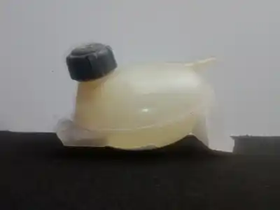 Second-hand car spare part coolant expansion tank for renault captur i (j5_, h5_) 0.9 tce 90 oem iam references 217107259r