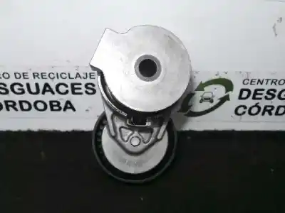 Автозапчасти б/у вспомогательный натяжитель ремня за renault kangoo (f/kc0) 1.5 dci diesel ссылки oem iam 8200460446   Автозапчасти б/у вспомогательный натяжитель ремня за renault kangoo (f/kc0) 1.5 dci diesel ссылки oem iam 8200460446