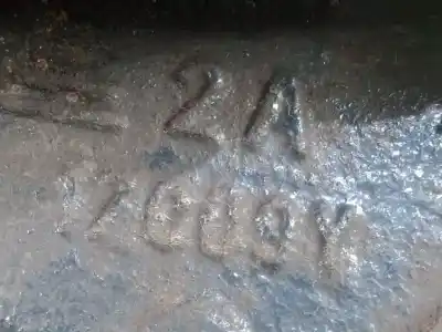 Gebrauchtes Autoersatzteil vorderer linker knöchel zum iveco daily vi furgón 35s18, 35c18, 40c18, 50c18, 60c18, 65c18, 70c18 oem-iam-referenzen 2a17c09y  