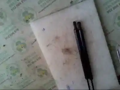 Pezzo di ricambio per auto di seconda mano ammortizzatori baule / porte per fiat panda (169) 1.1 8v riferimenti oem iam 