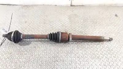 Pezzo di ricambio per auto di seconda mano TRASMISSIONE ANTERIORE DESTRA per FORD FOCUS LIM. (CB4)  Riferimenti OEM IAM 1726275  