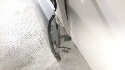 Автозапчасти б/у дверь передняя правая за audi a8 (4e2) 3.0 v6 24v tdi ссылки oem iam   