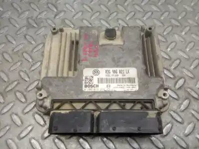 Peça sobressalente para automóvel em segunda mão centralina do motor por seat leon (1p1) 1.9 tdi referências oem iam 03g906021lk