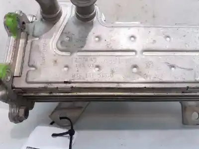 Pezzo di ricambio per auto di seconda mano raffreddatore gas di scarico per audi a3 (8p) 1.9 tdi ambiente riferimenti oem iam 038131513d  