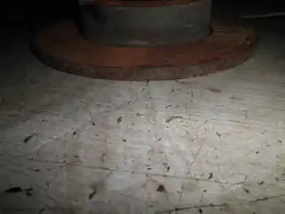 Peça sobressalente para automóvel em segunda mão disco de travão traseiro por seat leon (1m1) 1.9 tdi referências oem iam 